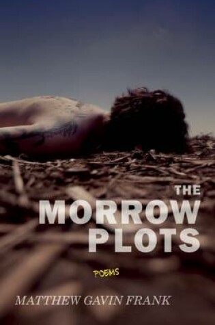 Cover of The Morrow Plots