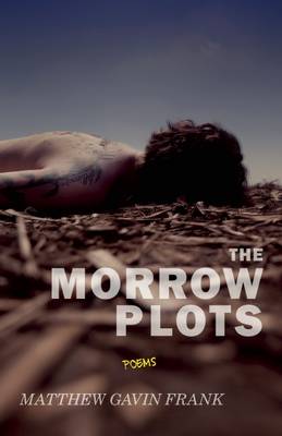 Book cover for The Morrow Plots