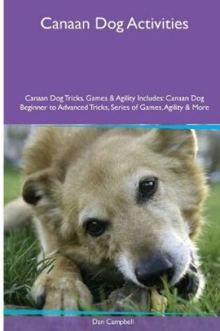 Cover of Canaan Dog Activities Canaan Dog Tricks, Games & Agility. Includes