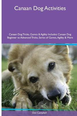 Book cover for Canaan Dog Activities Canaan Dog Tricks, Games & Agility. Includes