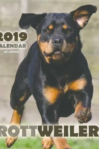 Cover of Rottweiler 2019 Calendar (UK Edition)