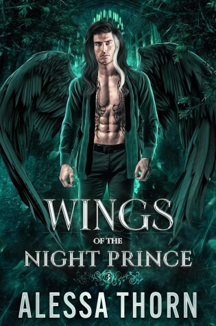 Cover of Wings of the Night Prince