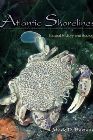 Cover of Atlantic Shorelines