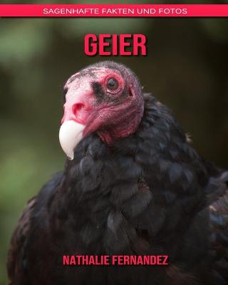 Book cover for Geier