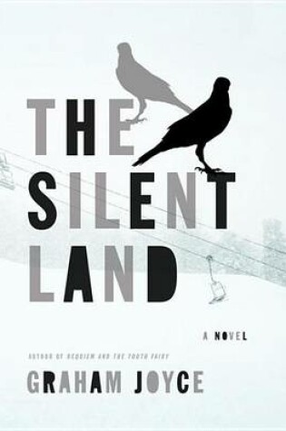 Cover of Silent Land, The: A Novel
