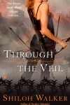 Book cover for Through the Veil