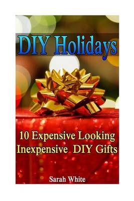 Book cover for DIY Holidays