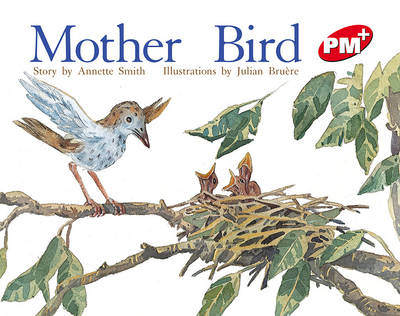 Book cover for Mother Bird