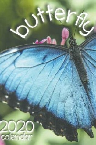 Cover of Butterfly 2020 Calendar