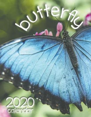 Book cover for Butterfly 2020 Calendar