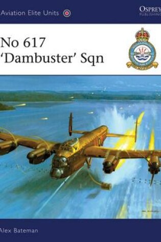 Cover of No 617 'Dambusters' Squadron