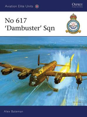 Book cover for No 617 'Dambusters' Squadron