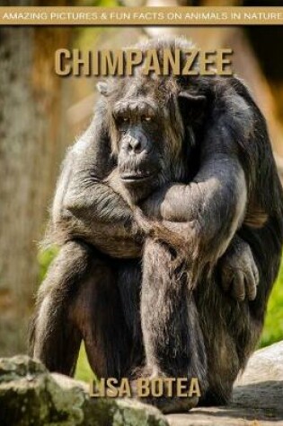 Cover of Chimpanzee