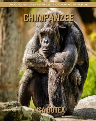 Book cover for Chimpanzee