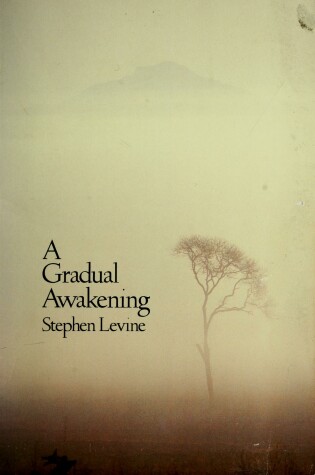 Cover of Gradual Awakening