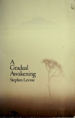 Cover of Gradual Awakening