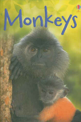 Cover of Monkeys