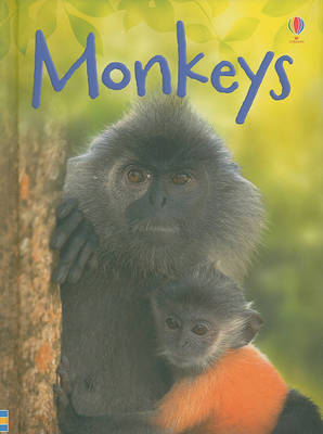 Cover of Monkeys