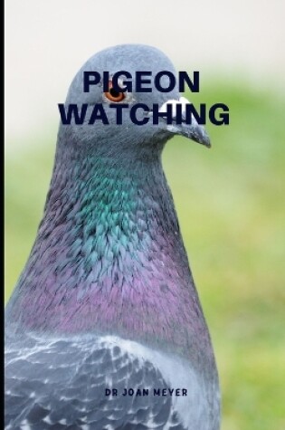 Cover of Pigeon Watching