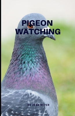 Book cover for Pigeon Watching