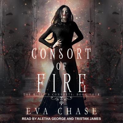 Book cover for Consort of Fire