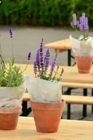 Cover of Beautiful Lavender Plants Growing in Pots