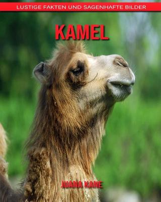 Book cover for Kamel