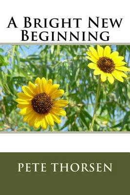 Book cover for A Bright New Beginning