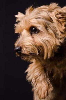 Book cover for The Norfolk Terrier Dog Journal