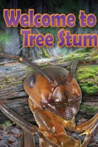 Cover of Welcome to the Tree Stump