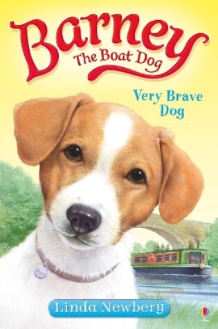Cover of Very Brave Dog