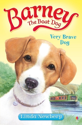 Book cover for Very Brave Dog