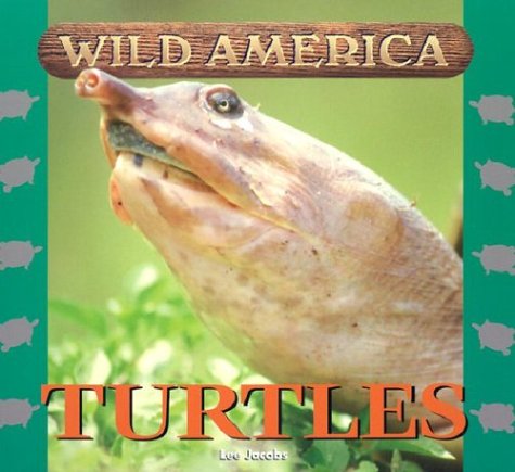 Cover of Turtles