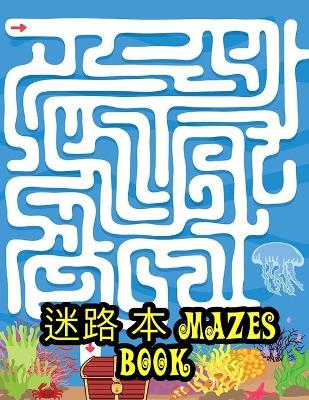 Book cover for &#36855;&#36335; &#26412; Mazes Book
