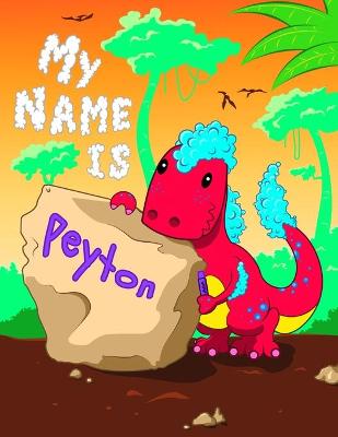 Book cover for My Name is Peyton