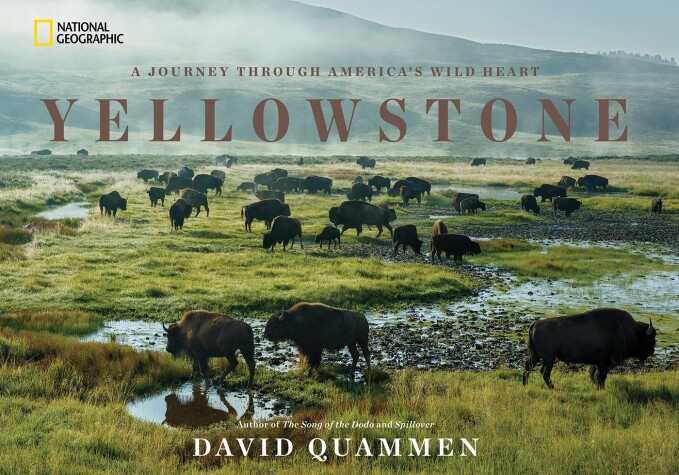 Book cover for Yellowstone