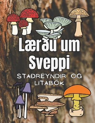 Book cover for Lærðu um Sveppi