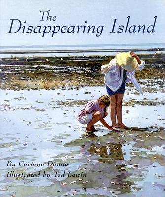 Book cover for The Disappearing Island