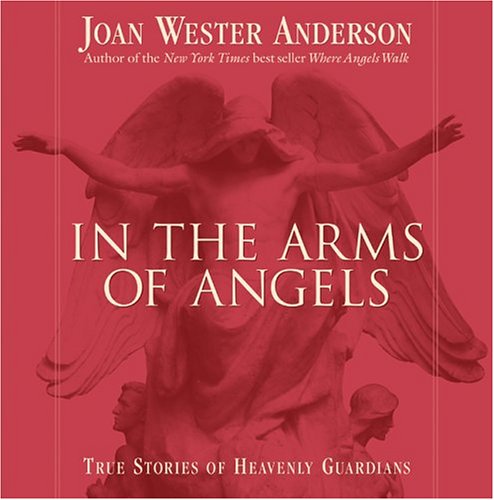 Book cover for In the Arms of Angels