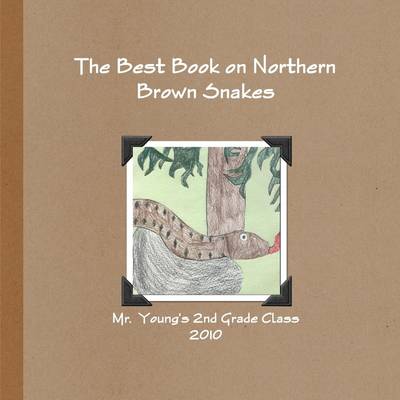 Book cover for The Best Book on Northern Brown Snakes: Mr. Young's 2nd Grade Class 2010