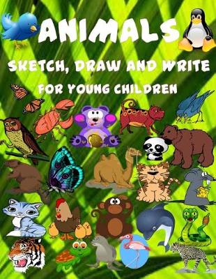 Book cover for Animal Sketch Draw and Write for Youg Children.