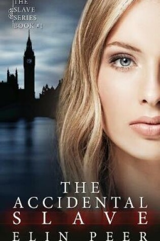 Cover of The Accidental Slave