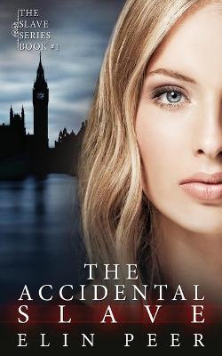 Book cover for The Accidental Slave