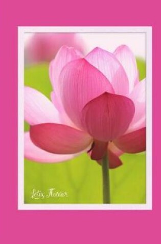 Cover of Lotus Flower