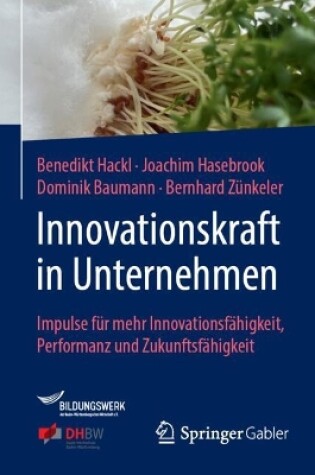 Cover of Innovationskraft in Unternehmen