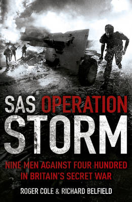 Book cover for SAS Operation Storm