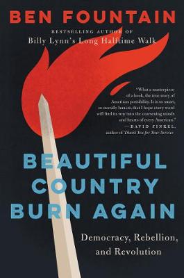 Book cover for Beautiful Country Burn Again