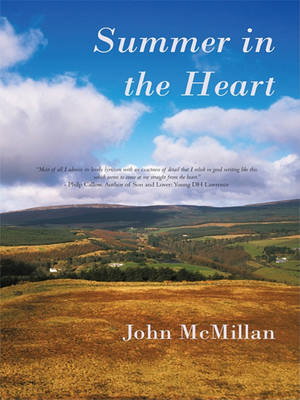 Book cover for Summer in the Heart