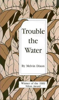 Book cover for Trouble the Water