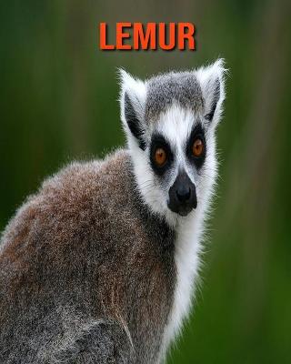 Book cover for Lemur